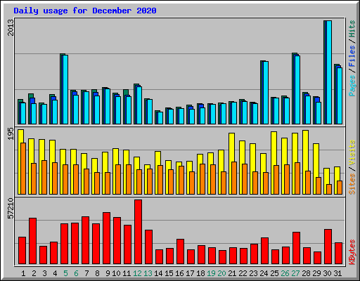 Daily usage for December 2020