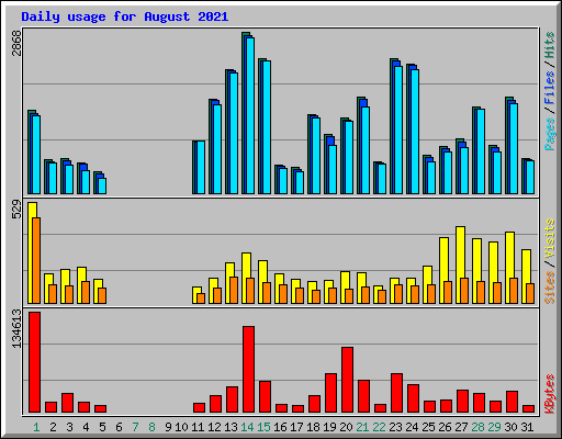 Daily usage for August 2021