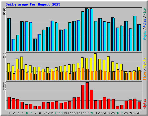 Daily usage for August 2023