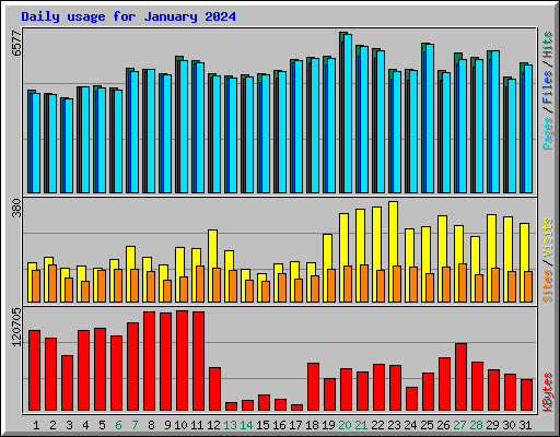 Daily usage for January 2024