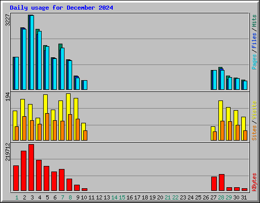 Daily usage for December 2024