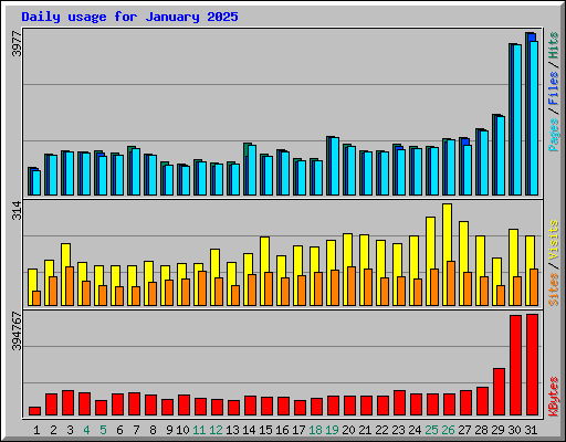 Daily usage for January 2025