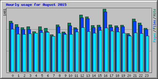 Hourly usage for August 2015