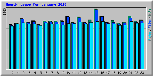 Hourly usage for January 2016