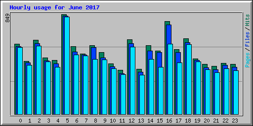 Hourly usage for June 2017