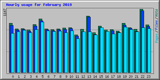 Hourly usage for February 2019