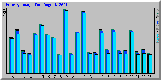Hourly usage for August 2021