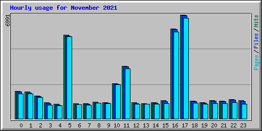 Hourly usage for November 2021