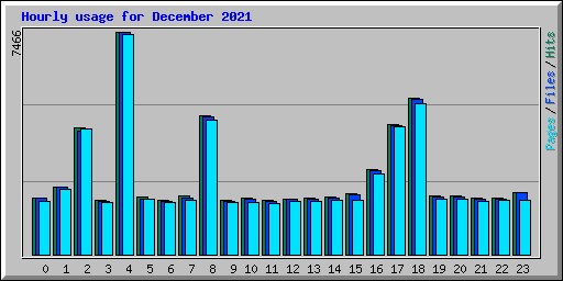 Hourly usage for December 2021