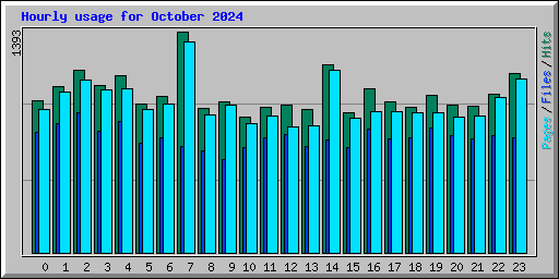 Hourly usage for October 2024