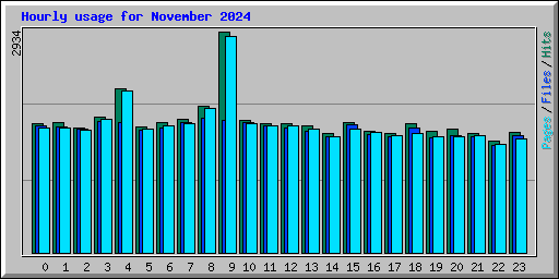 Hourly usage for November 2024