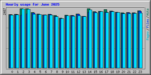Hourly usage for June 2025
