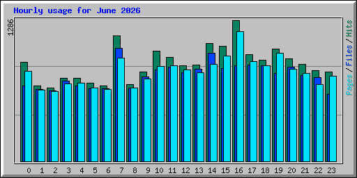Hourly usage for June 2026