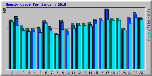 Hourly usage for January 2019