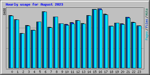 Hourly usage for August 2023