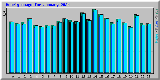 Hourly usage for January 2024