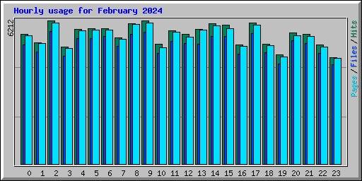 Hourly usage for February 2024