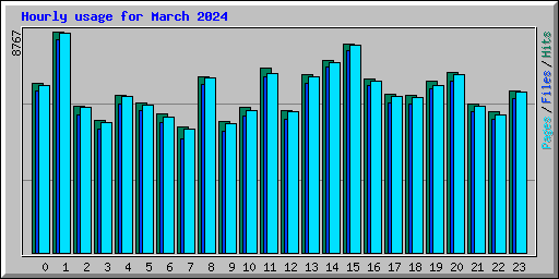 Hourly usage for March 2024