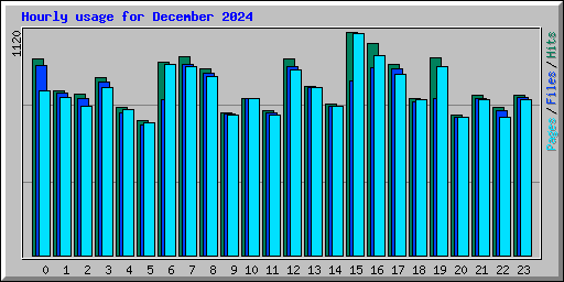 Hourly usage for December 2024