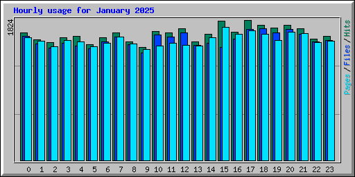 Hourly usage for January 2025