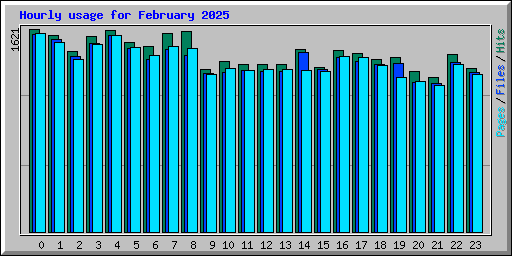 Hourly usage for February 2025