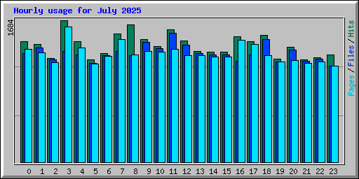 Hourly usage for July 2025