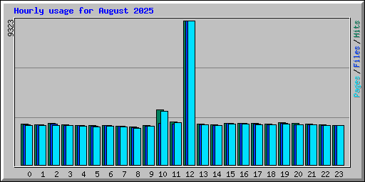 Hourly usage for August 2025