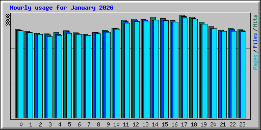 Hourly usage for January 2026