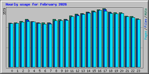 Hourly usage for February 2026